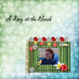 Week 2 - A Day at the Beach
