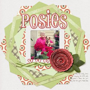 119-08-12-PosiesByCFALBRO