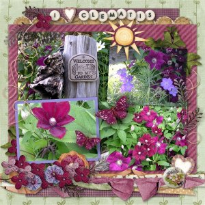 I Love Clematis