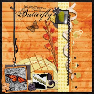 Butterfly