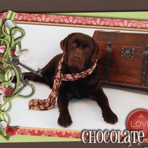 Chocolate Love