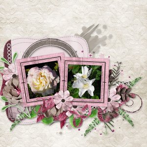 Roses_08