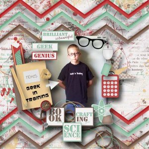 Geek In Training