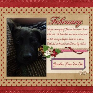 February 2013 Topper
