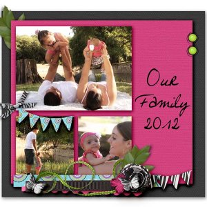 jewel case insert