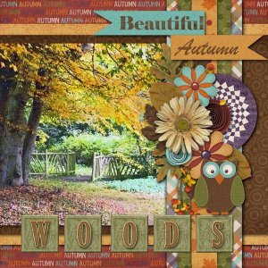 Autumn Woods