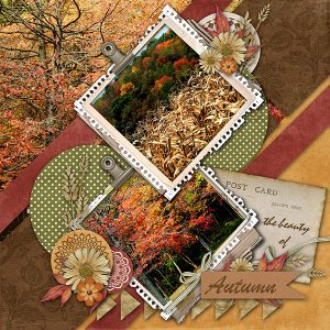 The Beauty of Autumn