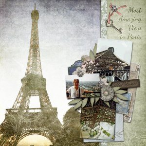 Amazing View in Paris
