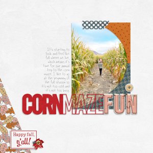 Corn Maze Fun
