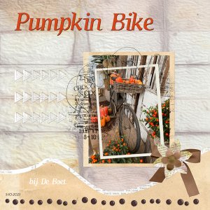 Pumpkin Bike