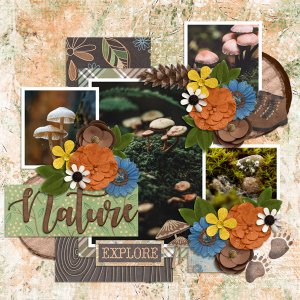 Explore Nature - In the Mountain