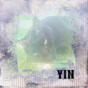 Yin Photomask 10