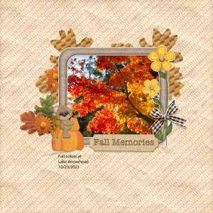 Fall Memories