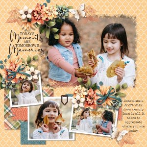 T. Autumn journey 1