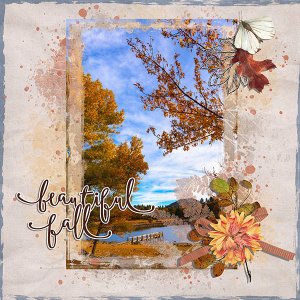 beautiful fall