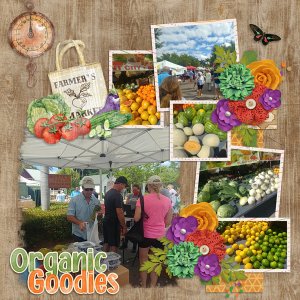 Autumn Journey 1 Temp #3-Tinci Farmers Market Mini-Aimee