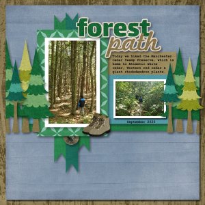 Forest Path 2020