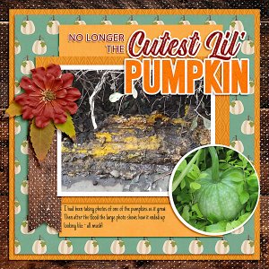 Pumpkin Mush