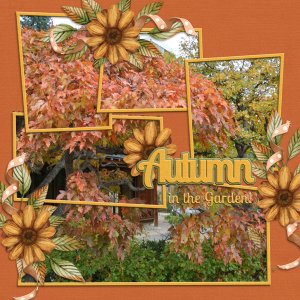 Autumn in the Garden
