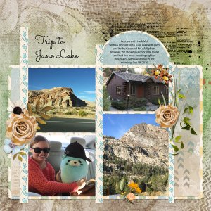 Trip up to June Lake