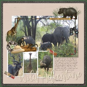 2023-05-07_WildAdventure