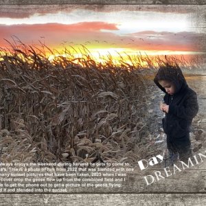 Harvest