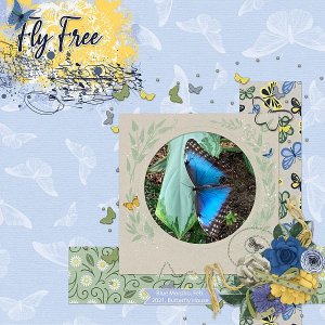 Fly Free