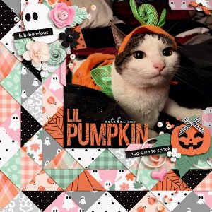 lil pumpkin