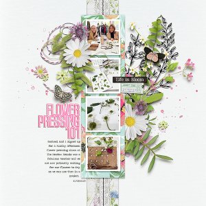 Flower Pressing