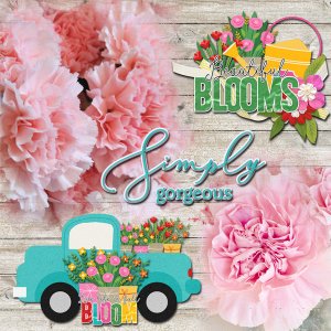 Beautiful Blooms