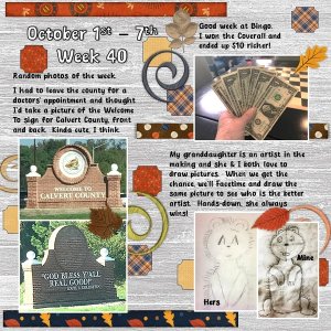 Project 365 Challenge - Week 40