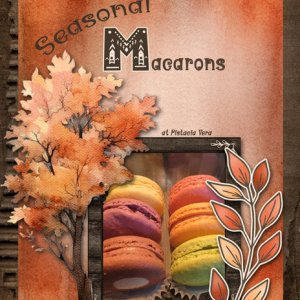 Macarons