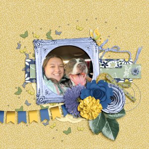 Recipe Challenge DSD 2023