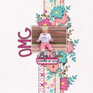Omg! Big Sister Coming Soon!