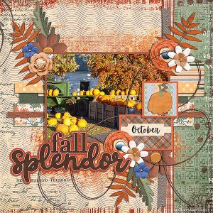 fall splendor