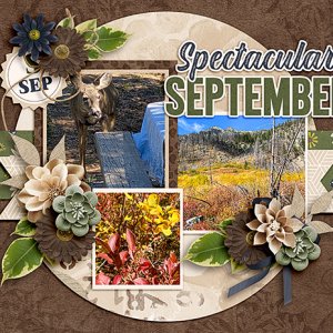 September-top
