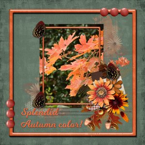 Splendid Autumn color!