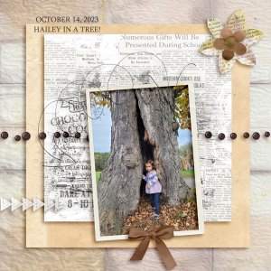 HAILEY UTA -OCT 2023