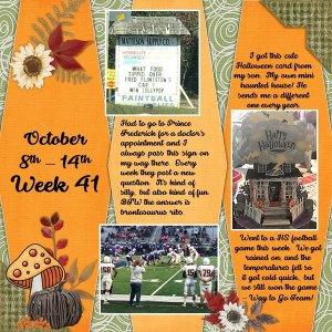 Project 365 Challenge - Week 41