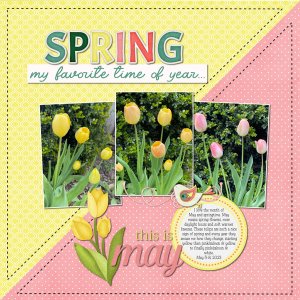May Tulips