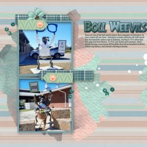 Boll Weevils