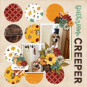 Daisy Bathroom Creeper
