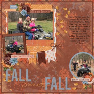 ATV Rides