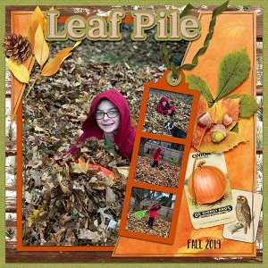 Leaf Pile 2019