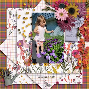 BLOOMS - SURPRISE - OCT 23