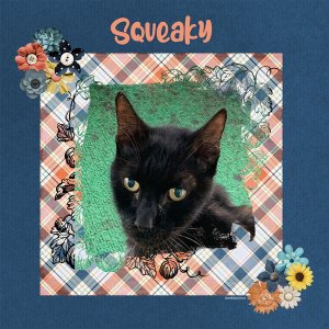 Squeaky