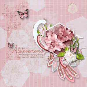 Alstroemeria