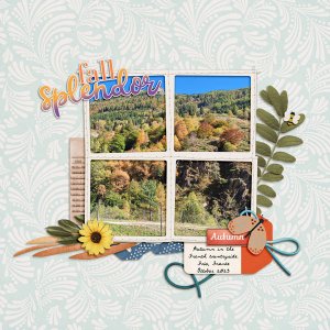 Fall Splendor