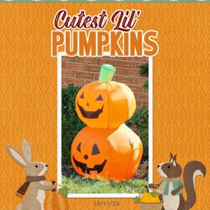 Cutest Lil' Pumpkins