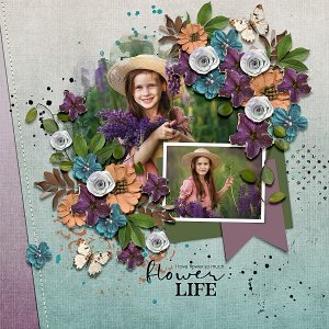 Follow Ones Heart-Bundle